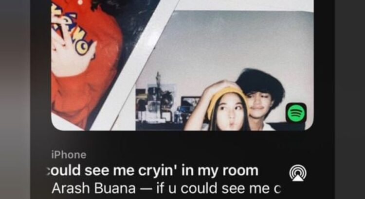 Arti Lagu If U Could See Me Crying In My Room -Arash Buana
