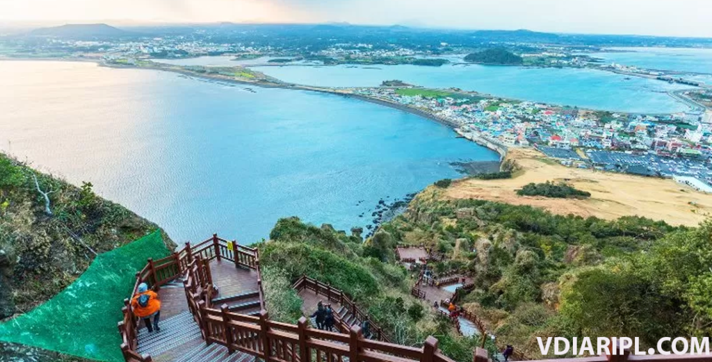Panduan Wisata ke Pulau Jeju Terbaru 2025