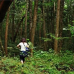 jepang hutan bunuh diri